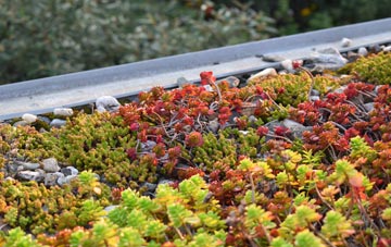 the cost of Caldermill green roof installation